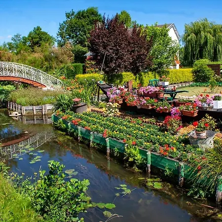 Atypique - Toy Story - 4 Pers - Centre *