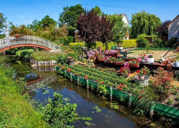 Atypique - Toy Story - 4 Pers - Centre *